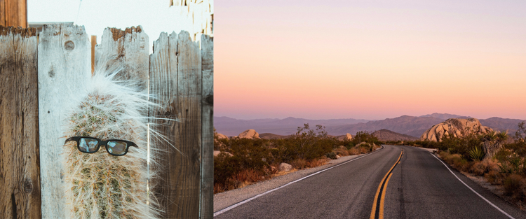Joshua Tree, Yucca, 29 Palms Reservations
