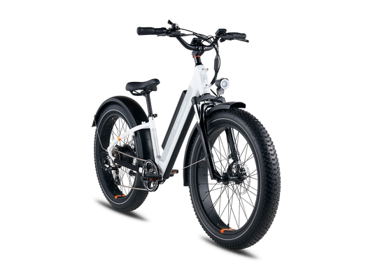 Joshua Tree Tree E-Bike Rentals