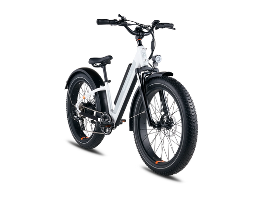 Joshua Tree Tree E-Bike Rentals