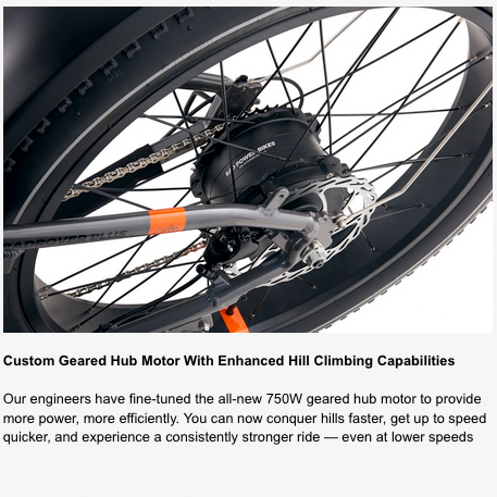 Rad Rover Electric Bike Geared Hub Rental Joshua Tree